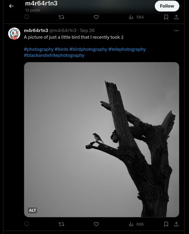 Photographs_2.png