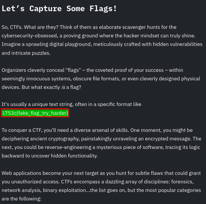 fakeflag.png