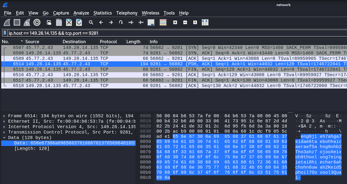 wireshark_packet.png