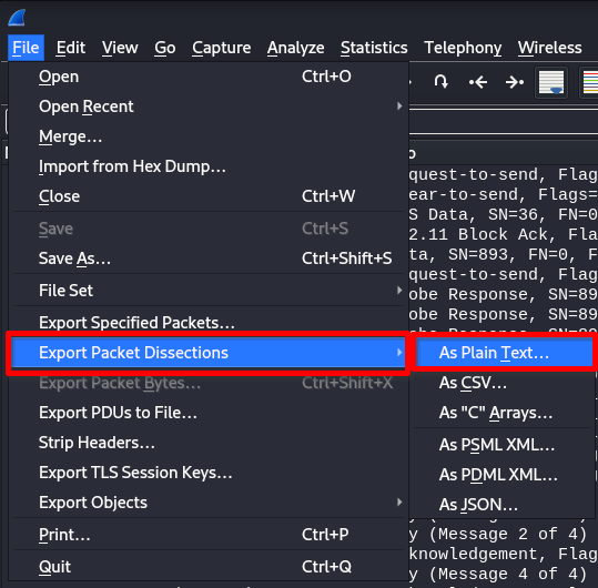 wireshark_export_packet1.png