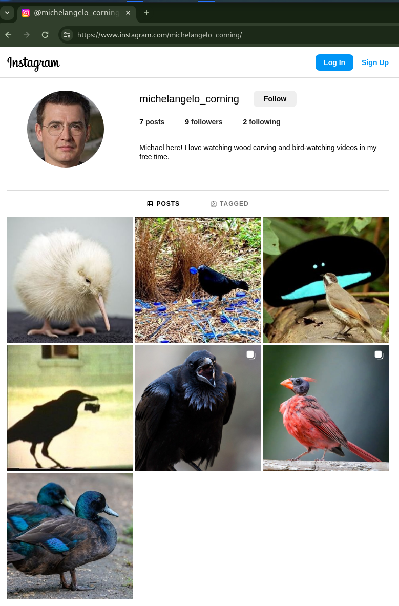 michel_instagram.png