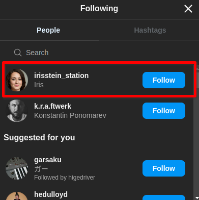 michel_followers.png