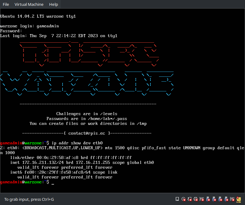 vmware: VM IP
